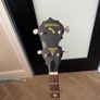 McBride 5 string case and picks Image 5
