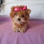 3 x Jo jo siwa plush toys 2 small 6" and a 9" puppy 2017 all in excellent condition Image 7