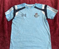 Dublin GAA top Age 13