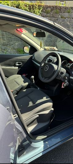 2010 Renault Clio