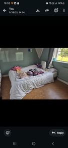 toddler bed low bedframe co sleep