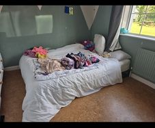 toddler bed low bedframe co sleep