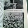 O Kingstown go Dunlaoghaire Irish language history Co Dublin Image 7