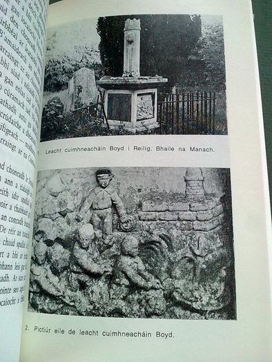 O Kingstown go Dunlaoghaire Irish language history Co Dublin