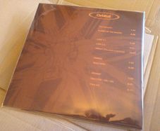 300 x BLAKE SLEEVES! 12 Inch LP Album & Single Vinyl Record Covers Crystal CLEAR plastic Outer sleeves - WITH FLAP SEAL