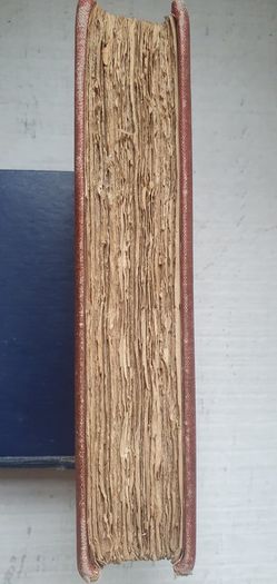 Antique Book: Beside The Bonnie Brier Bush by Ian Maclaren