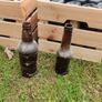 Brewing beer bottles Image 2