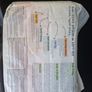 Nappies Size 4 Kit & Kin Image 3