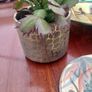 Joblot of HANDMADE Ceramics Image 7