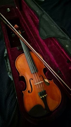 Violin