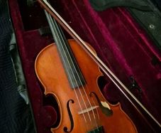 Violin