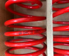 cobra lowering springs