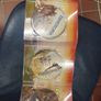Dinotopia complete series 4 dvd Image 2