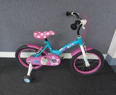 Polly 16