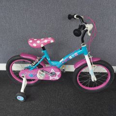 Polly 16