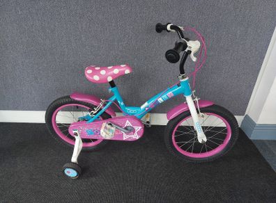 Polly 16