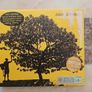 Jack Johnson 5 CD Lot Image 8