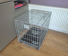 Dog Cage