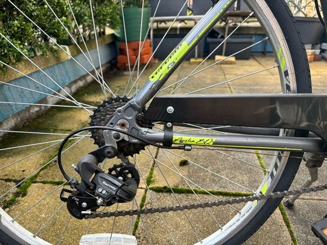 Vercelli Ladies Bike