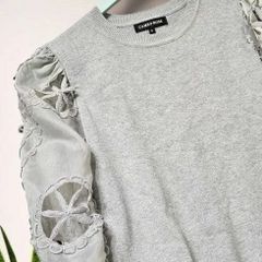 Cameo Rose top with lace and gauze sleeves
