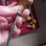 lino / wood cutting tools EC lyons Image 5
