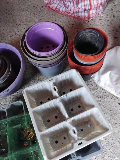 Plant Pots