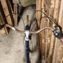 ladybike Image 6