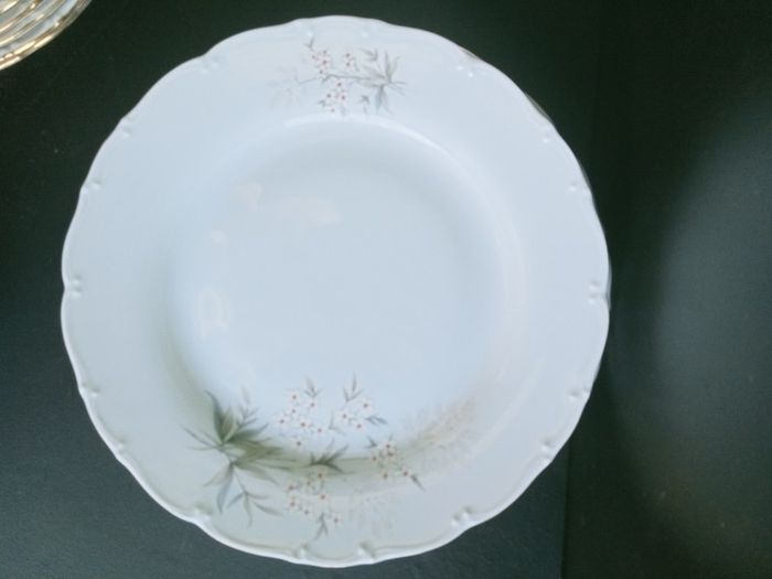 MZ Moritz Zdekauer Bohemian Porcelain Dinnerware