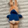 Rainbow Designs Beatrix Potter Peter Rabbit approx. 25cm. with ears Please see photos Image 7