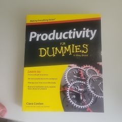 Productivity for Dummies