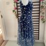 dress Bnwt Paisie occasion wear dress size 10 Image 3