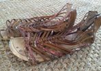 Brown Sandals.  Size 1