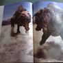 Walking with beasts A prehistoric safari Image 10