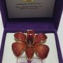 24K Gold Plating Real Orchid Brooch / Pendant A Nice Gift Image 9