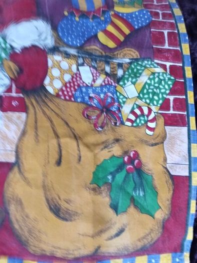 Beautiful Santa Apron