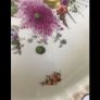 Large Hand painted Meissen Dish Image 4