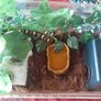 Corn Snake Medium Exoterra starter kit Image 3