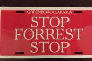 License Plate Stop Forrest Stop