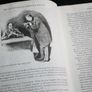 Sherlock Holmes: Complete Illustrated Novels by Sir Arthur Conan Doyle (Hardcover, 1991) Image 8