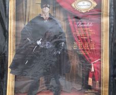 Halloween Costume