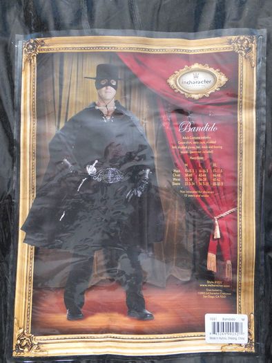 Halloween Costume