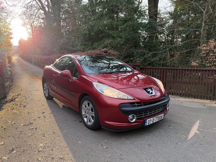 2007 Peugeot 207