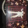 Madonna Posters - RARE Image 7