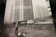 Andy Pawlak Shoebox full of secrets lp