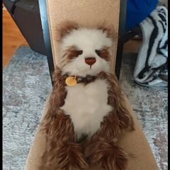 Charlie bear