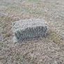 Hay Image 6