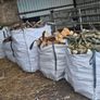 Firewood Image 8