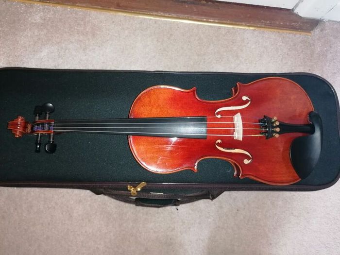 MC Neela Advanced Violin set