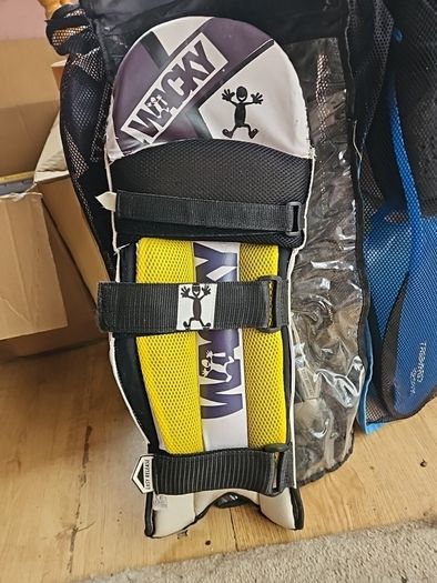 Cricket pads junior