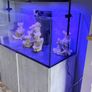 Fish tank Image 10